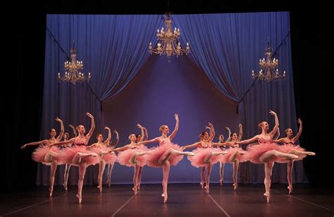 Sarasota ballet - 